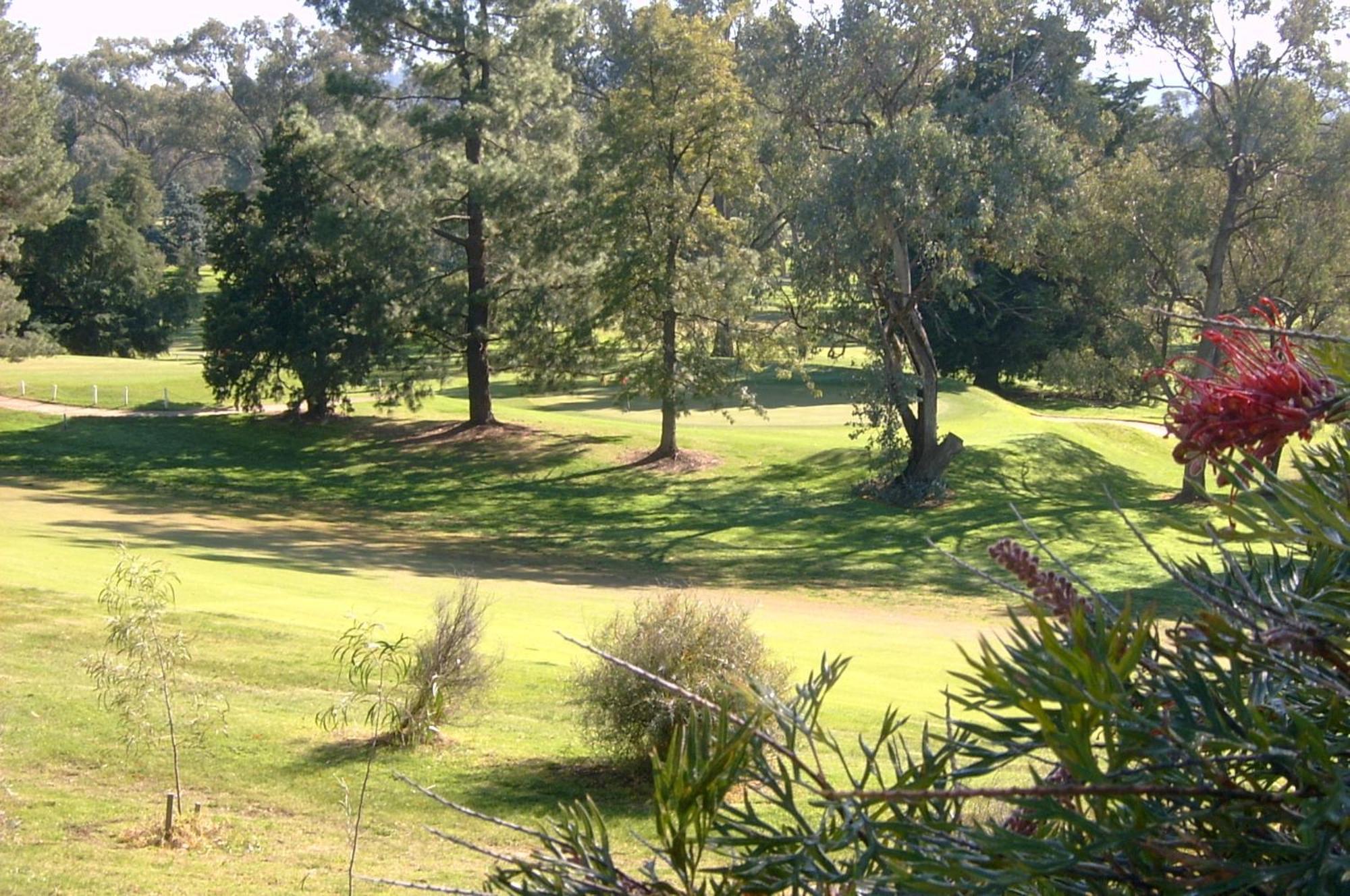 Commercial Golf Resort Albury Exterior photo